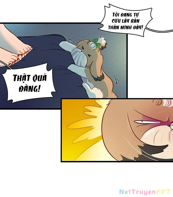 Chú Cún Của Em Thật Đáng Yêu Chapter 19.2 - Trang 2