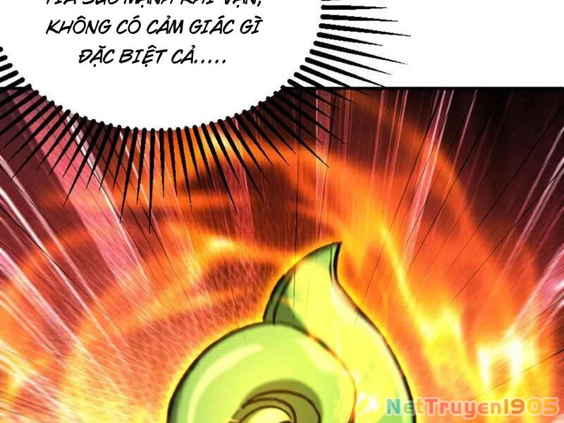 Đệ Tử Tu Luyện Còn Ta Thì Lười Biếng Chapter 169 - 8