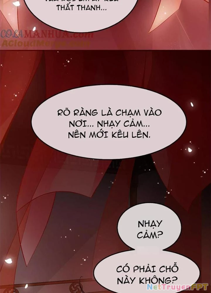 Đệ Nhất Nằm Vùng Nam Tống Chapter 31 - 35