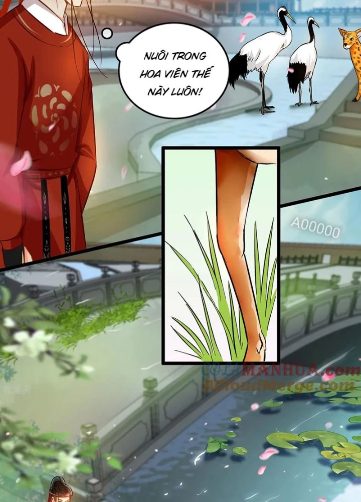 Đệ Nhất Nằm Vùng Nam Tống Chapter 76 - 13