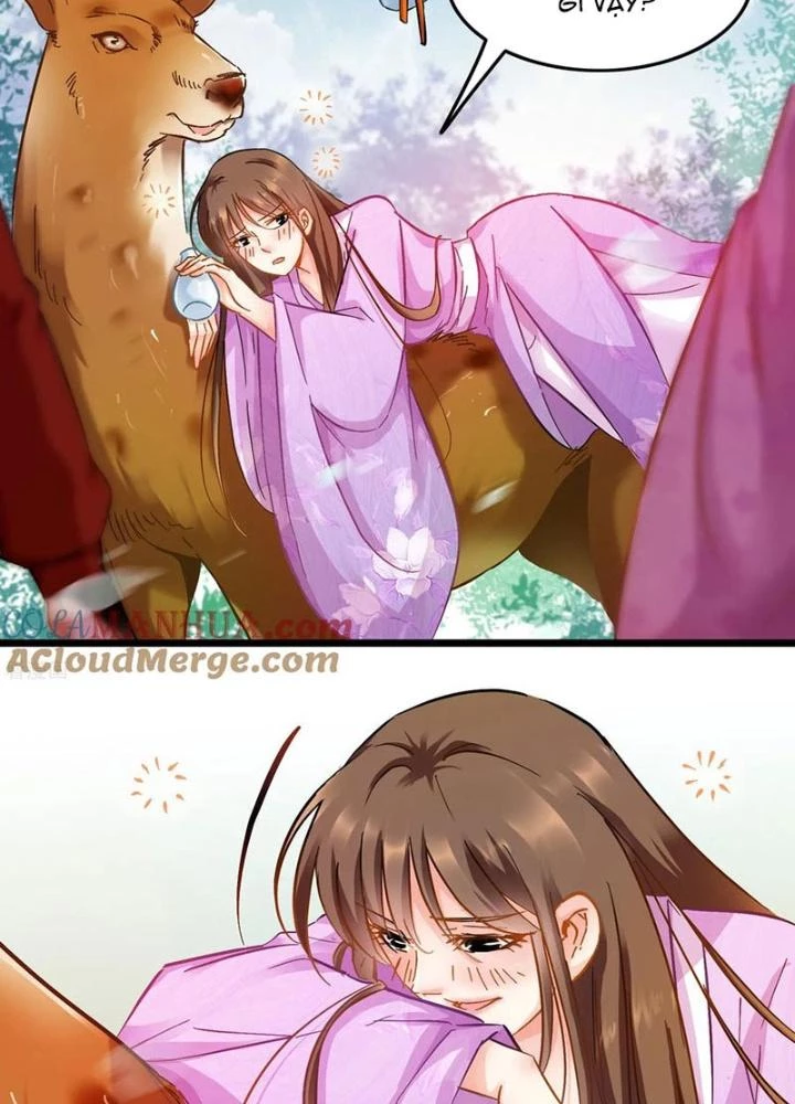 Đệ Nhất Nằm Vùng Nam Tống Chapter 76 - 17