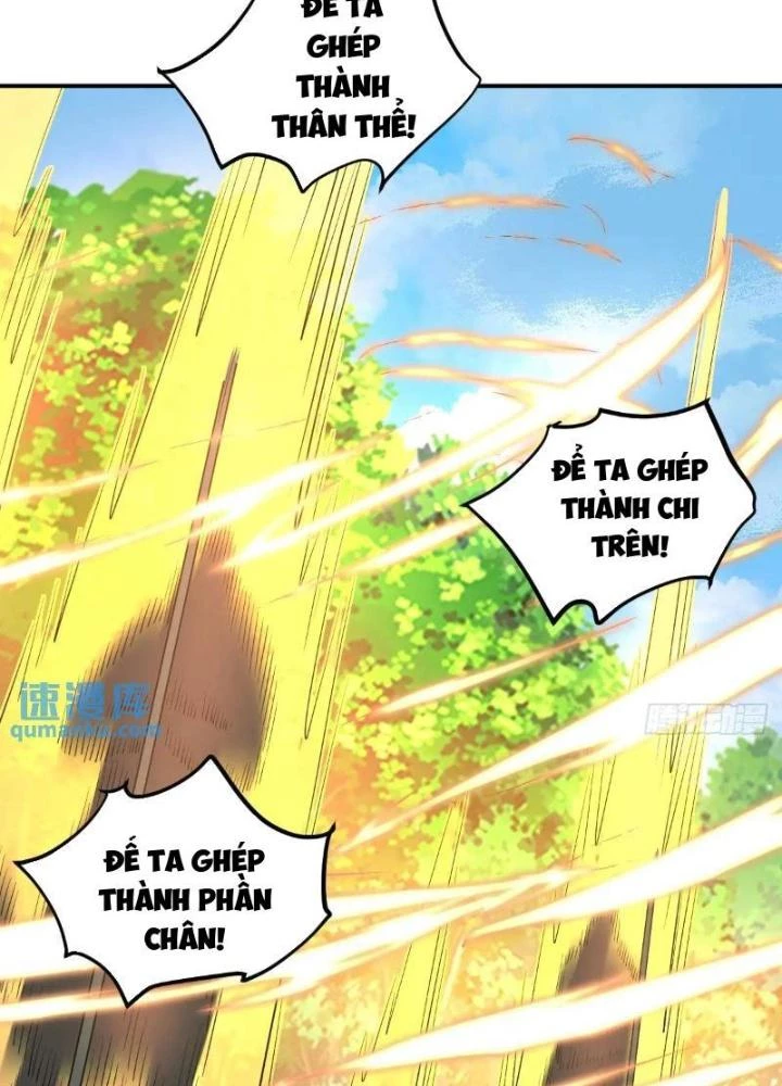 Ta Dựa Vào Body Shaming Tu Thành Đại Lão Chapter 38 - 5
