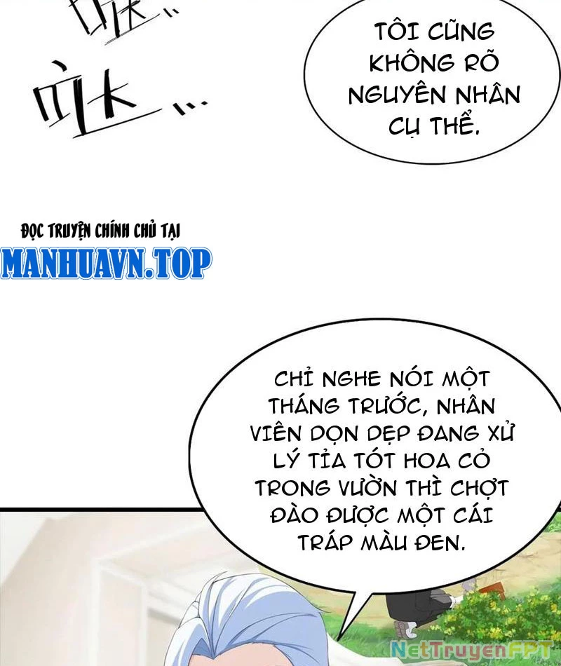 Đô Thị Thánh Thủ: Ta Là Y Võ Đỉnh Phong Chapter 118 - Trang 2