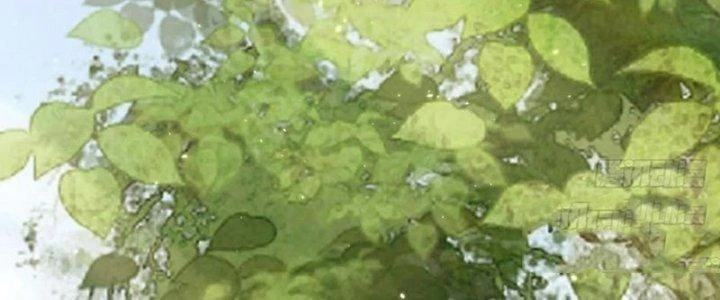Tùy Tùng Của Nữ Phản Diện Chapter 53 - 164