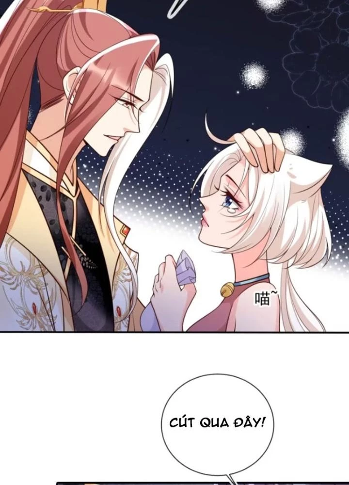 Tùy Tùng Của Nữ Phản Diện Chapter 149 - 29