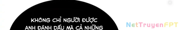 Bắt Đầu Vùng Dậy Từ Việc Chơi Game Nghiêm Túc Chapter 192 - 12