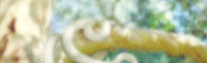 Cương Mãnh Đại Pháp Sư Chapter 1 - 2