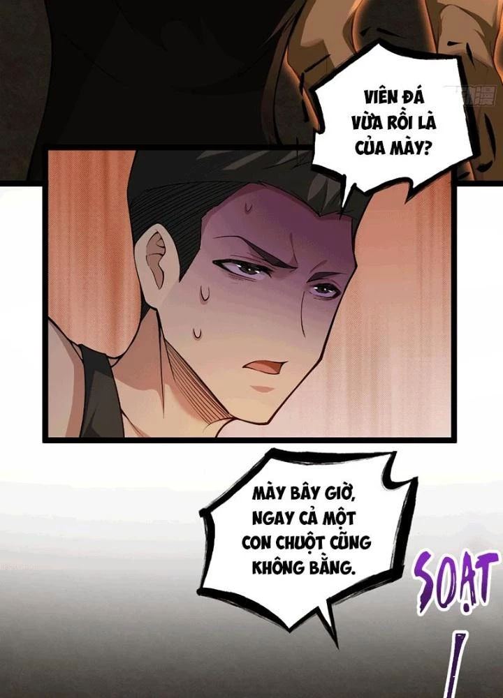 Mạt Thế Đa Bội Phản Hoàn Hệ Thống Chapter 15 - 43