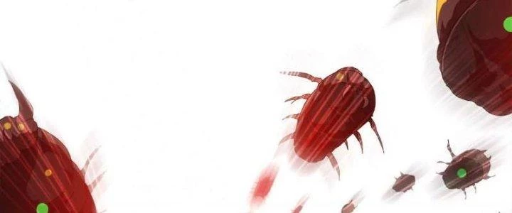 Quái Thú Hạch Tâm Chapter 11 - 67