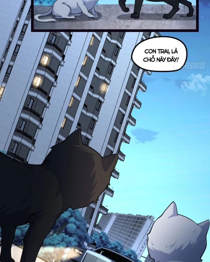 Ngài Hoàn Toàn Không Tiết Lộ Sao? Chapter 18 - 20