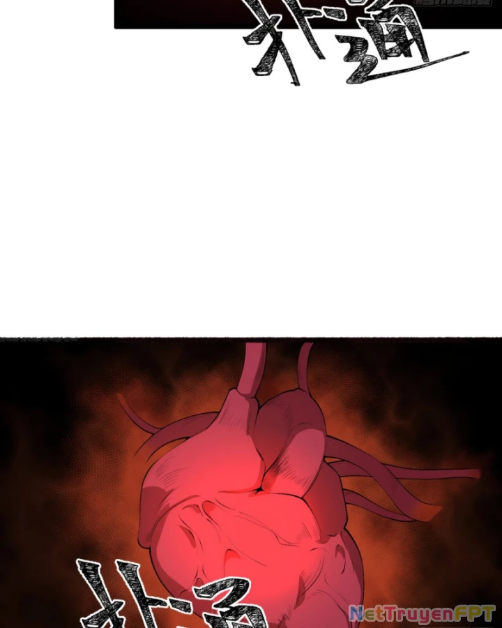 Ngài Hoàn Toàn Không Tiết Lộ Sao? Chapter 52 - 31