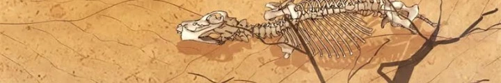 Các Ngươi Tu Tiên Còn Ta Rút Thẻ Chapter 12 - 18