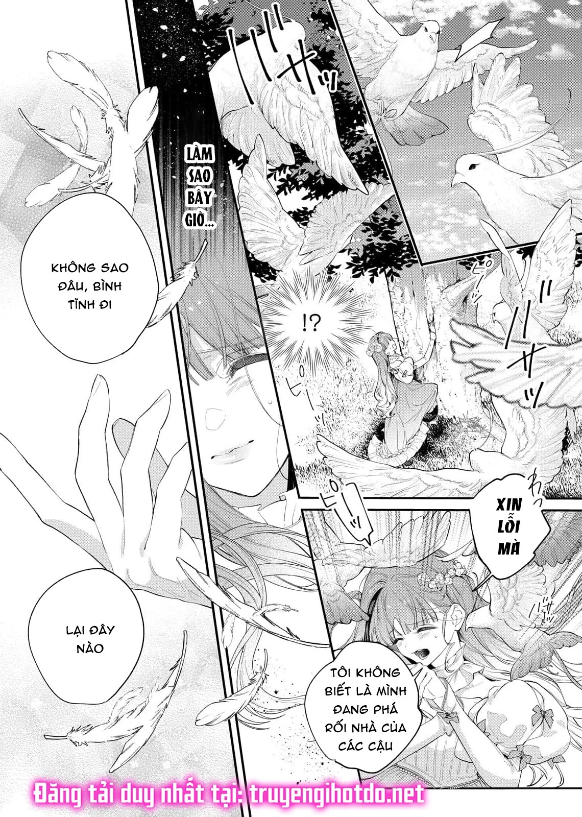Sao Băng Ẩn Trong Hoa Chapter 11.1 - 7