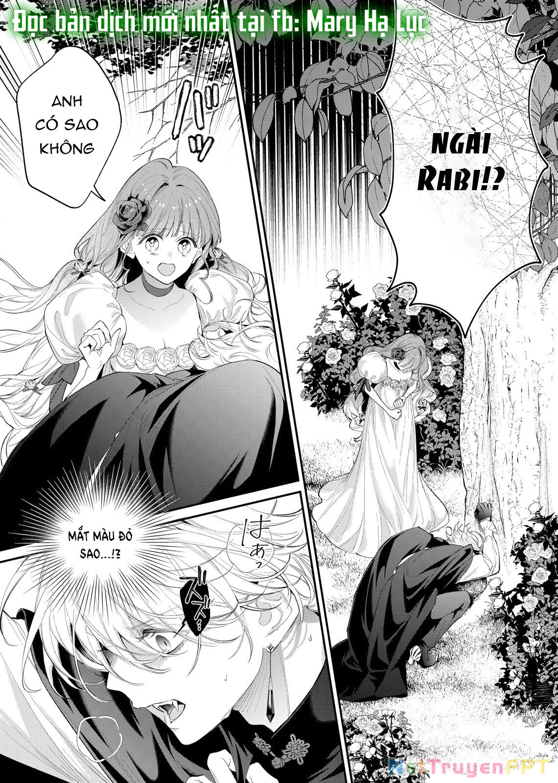 Sao Băng Ẩn Trong Hoa Chapter 14.1 - 3