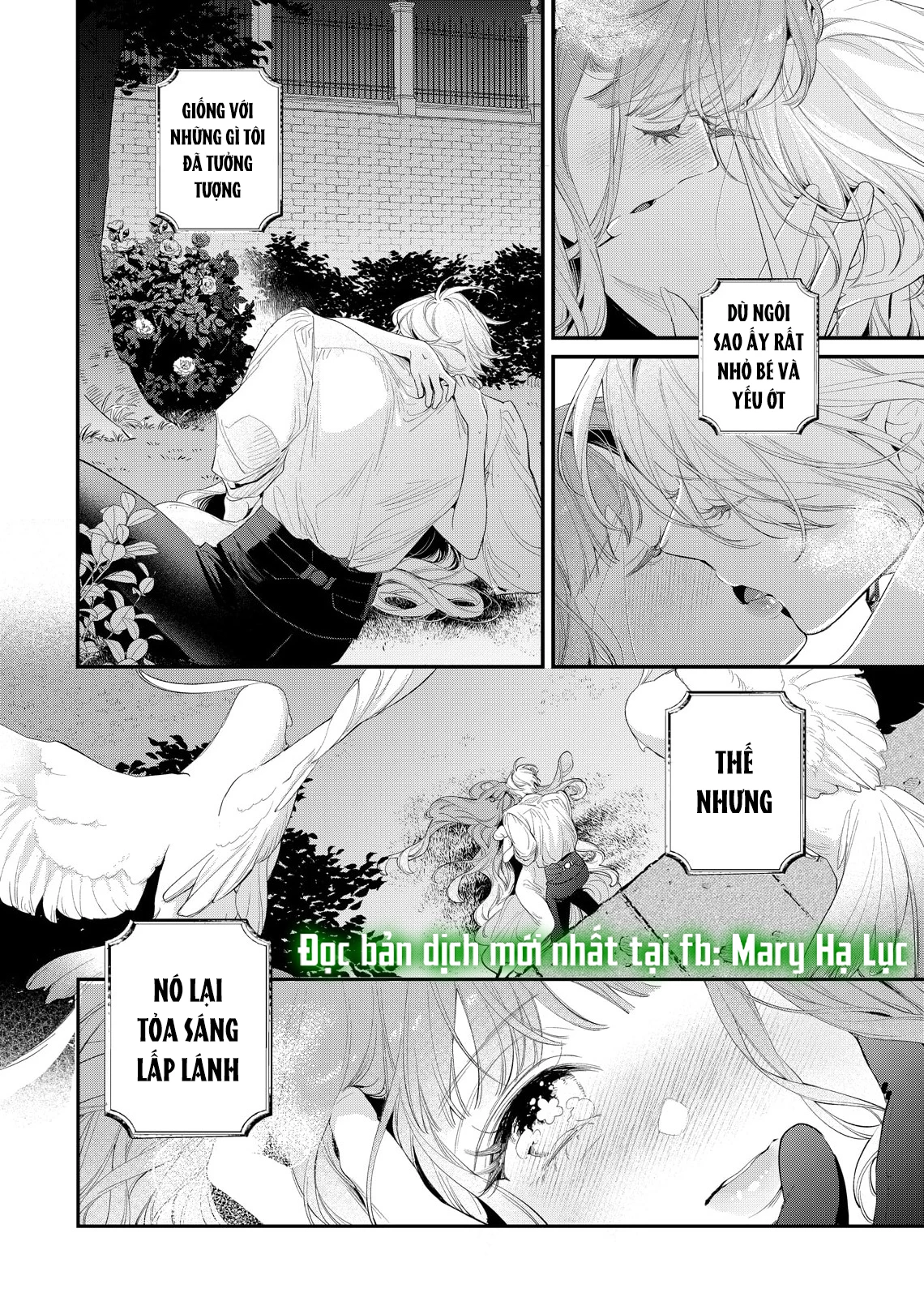 Sao Băng Ẩn Trong Hoa Chapter 20.2 - 12