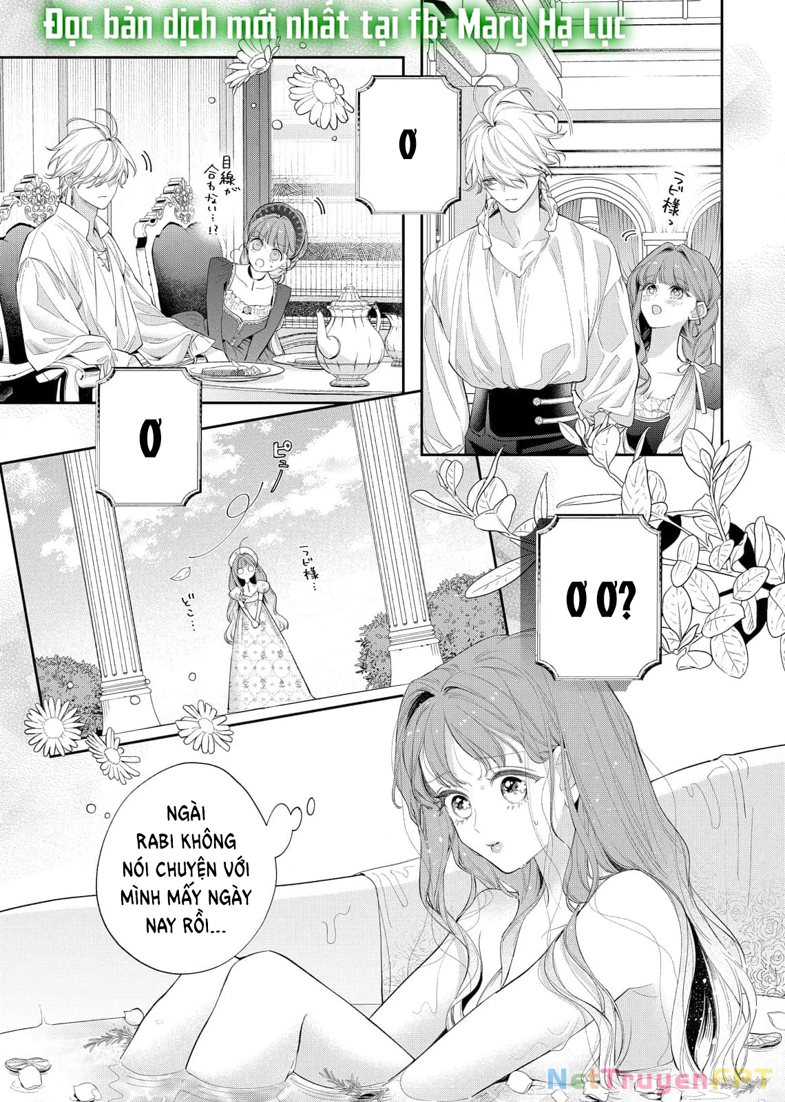 Sao Băng Ẩn Trong Hoa Chapter 21.1 - 17