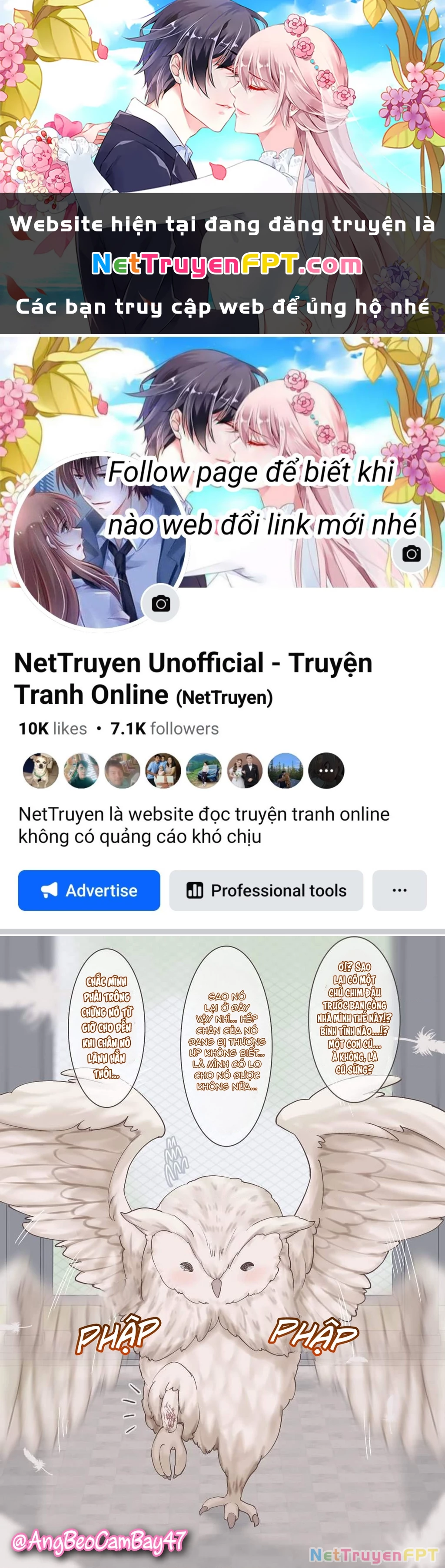  Câu Chuyện Về Bé Cú Mà Tôi Cứu "Hóa Gái" Chapter 1 - 1