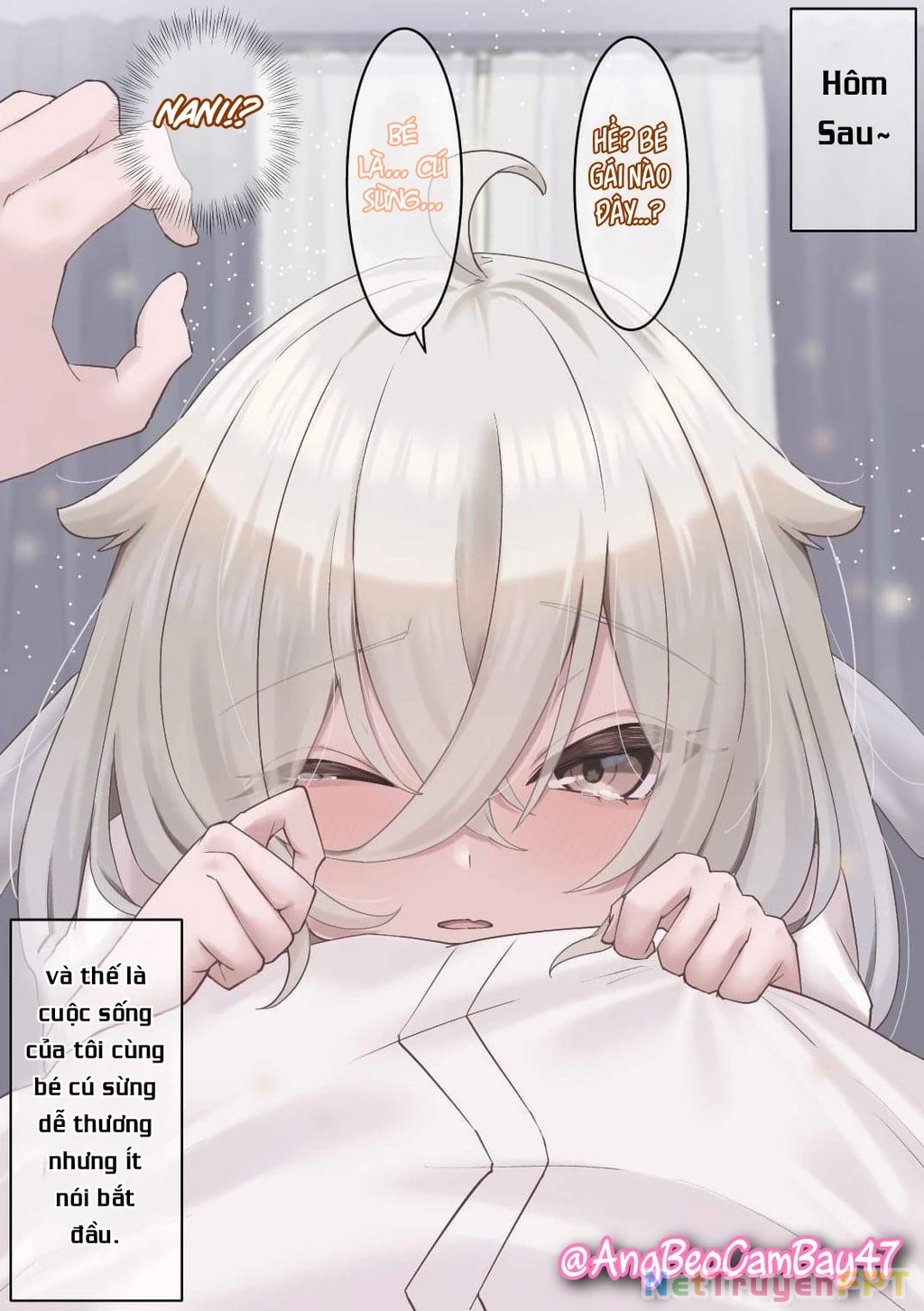  Câu Chuyện Về Bé Cú Mà Tôi Cứu "Hóa Gái" Chapter 1 - 2