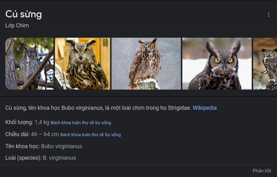  Câu Chuyện Về Bé Cú Mà Tôi Cứu "Hóa Gái" Chapter 1 - 3