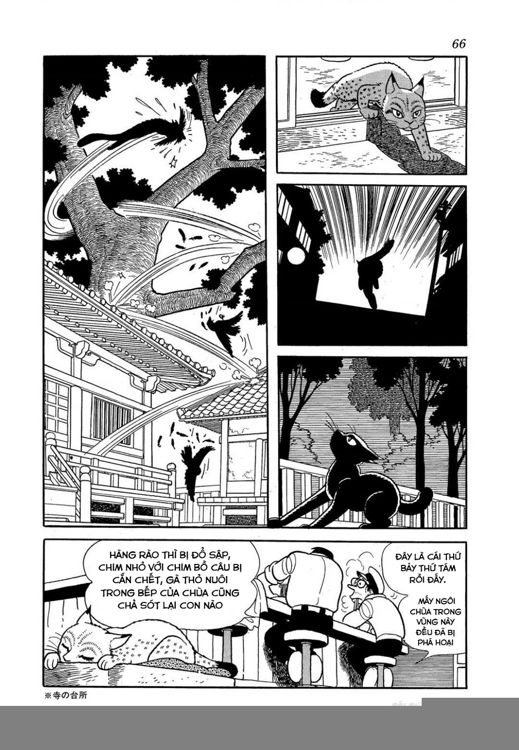 Black Jack Gaiden: Midnight Chapter 3 - 11