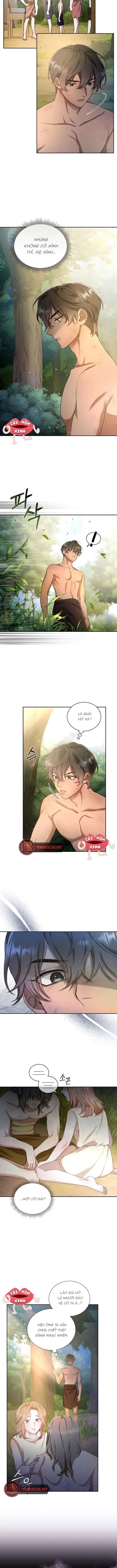 Khu Rừng Hoang Dã Chapter 2 - 4