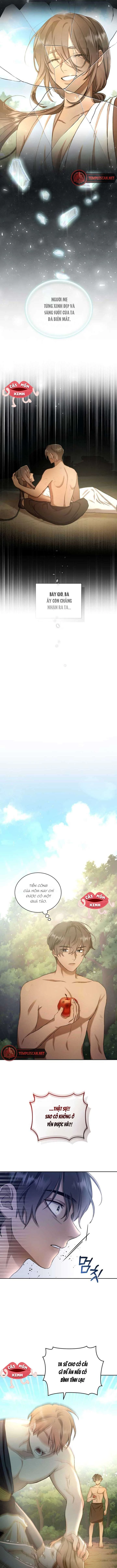 Khu Rừng Hoang Dã Chapter 2 - 8