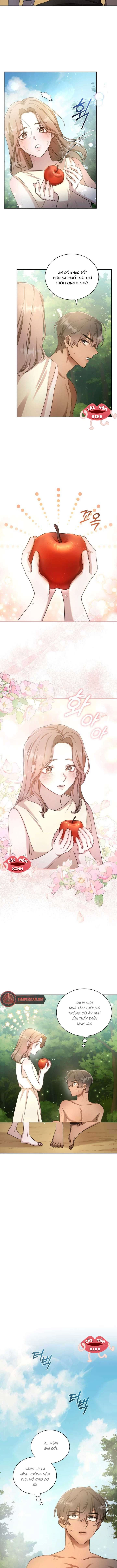 Khu Rừng Hoang Dã Chapter 2 - 11