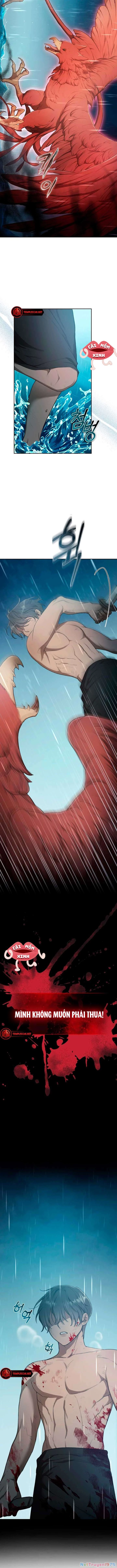 Khu Rừng Hoang Dã Chapter 4 - 11