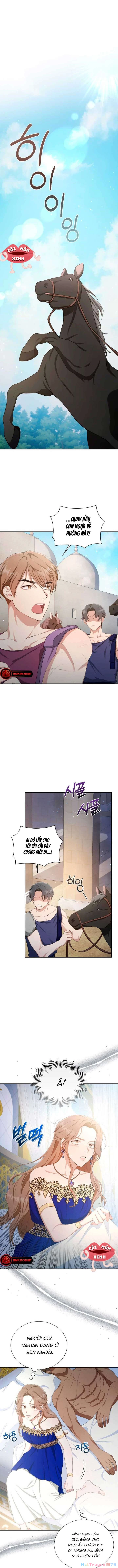 Khu Rừng Hoang Dã Chapter 5 - 6