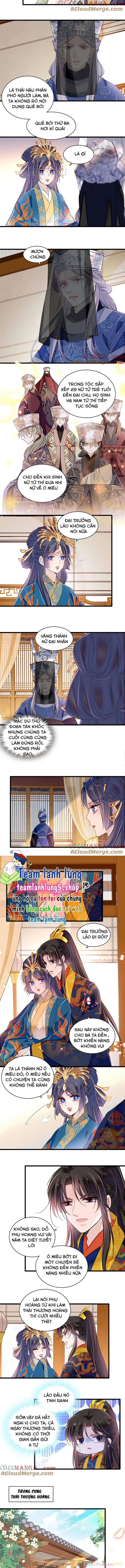 Tự Cẩm Chapter 386 - 4