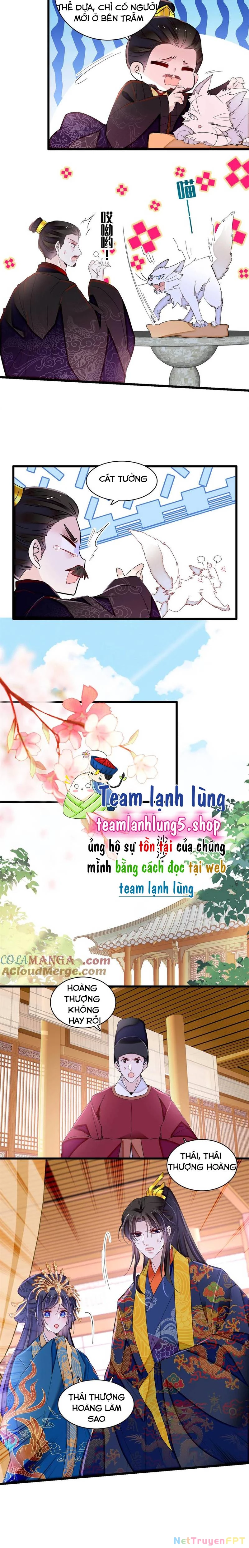 Tự Cẩm Chapter 386 - 6