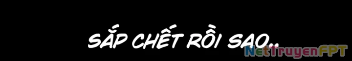 Chuyển Phát Thủy Tinh Chapter 27 - 74