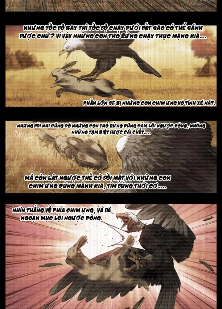 Hữu Kích Chapter 63 - 15