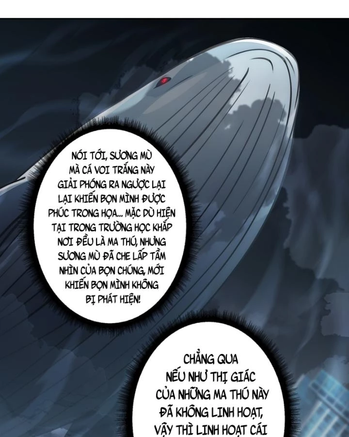 Không Theo Lối Mòn, Ta Quyết Ngược Đường Trở Thành Vô Địch Chapter 4 - 55