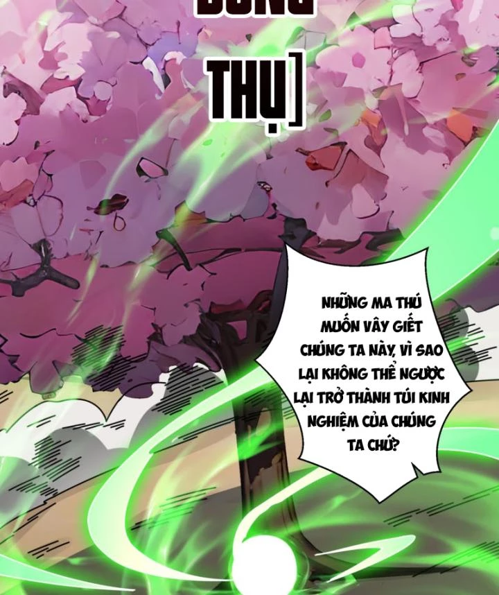 Không Theo Lối Mòn, Ta Quyết Ngược Đường Trở Thành Vô Địch Chapter 5 - 12