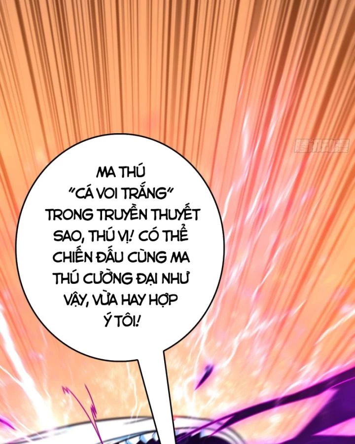 Không Theo Lối Mòn, Ta Quyết Ngược Đường Trở Thành Vô Địch Chapter 11 - 68