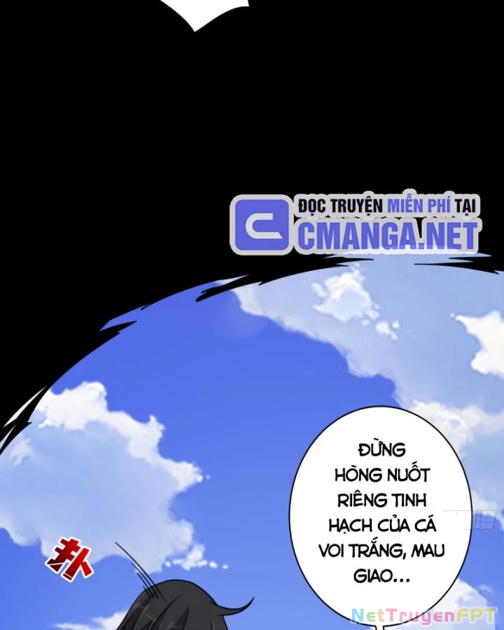 Không Theo Lối Mòn, Ta Quyết Ngược Đường Trở Thành Vô Địch Chapter 13 - 12