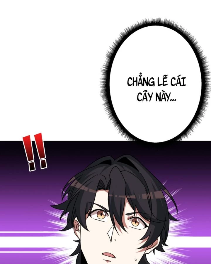 Không Theo Lối Mòn, Ta Quyết Ngược Đường Trở Thành Vô Địch Chapter 16 - 75
