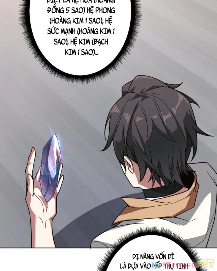 Không Theo Lối Mòn, Ta Quyết Ngược Đường Trở Thành Vô Địch Chapter 22 - 40