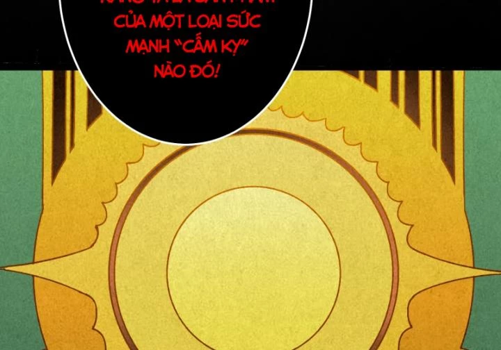Không Theo Lối Mòn, Ta Quyết Ngược Đường Trở Thành Vô Địch Chapter 25 - 6