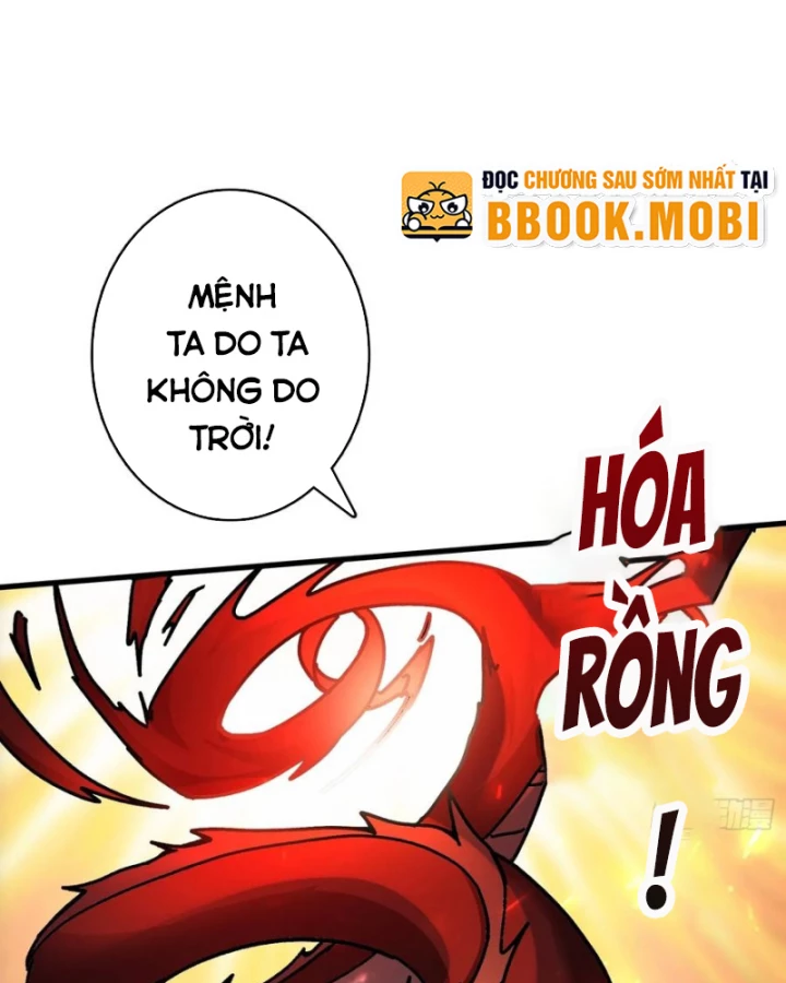 Không Theo Lối Mòn, Ta Quyết Ngược Đường Trở Thành Vô Địch Chapter 50 - 19