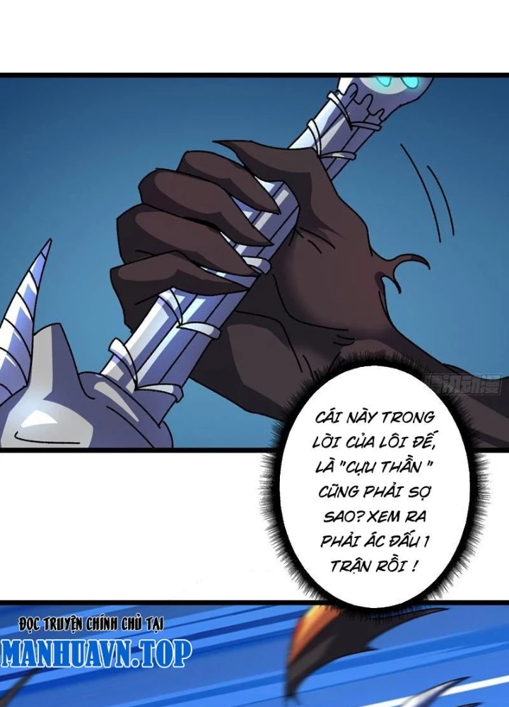 Không Theo Lối Mòn, Ta Quyết Ngược Đường Trở Thành Vô Địch Chapter 56 - 11