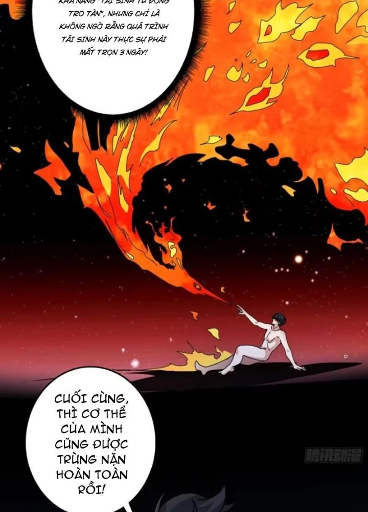 Không Theo Lối Mòn, Ta Quyết Ngược Đường Trở Thành Vô Địch Chapter 63 - 25