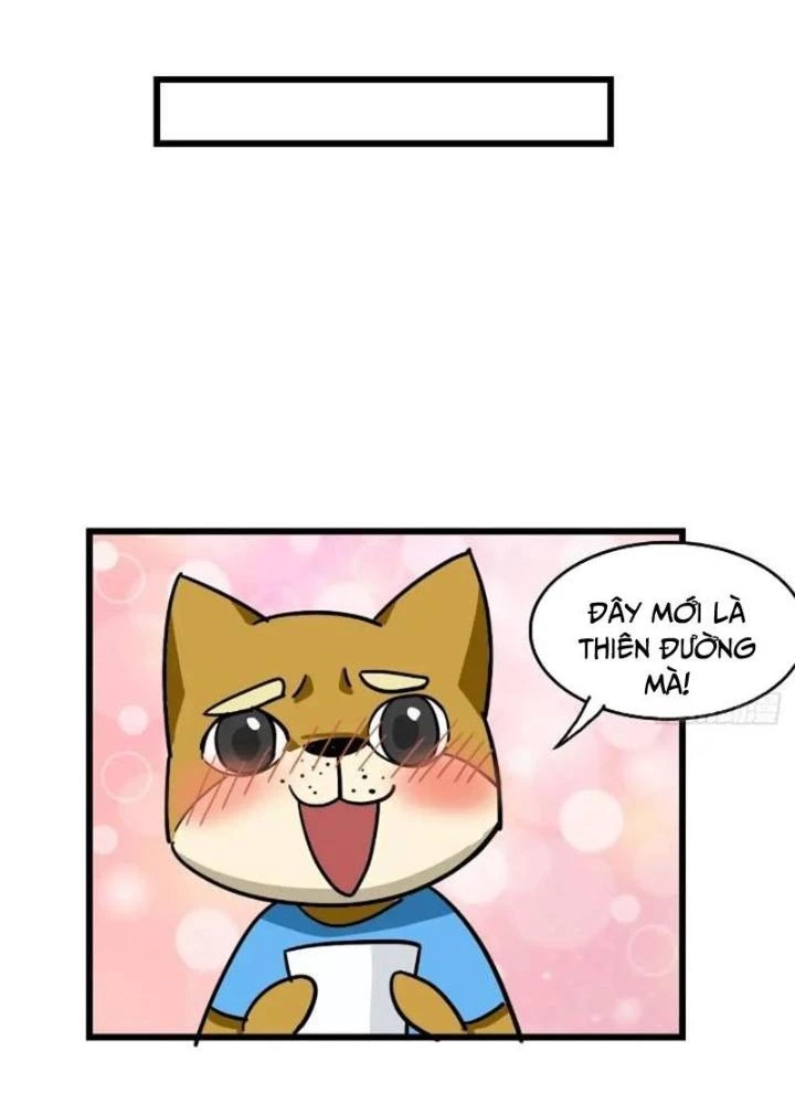Tuyệt Thế Thiên Tài Hệ Thống Chapter 91 - 13