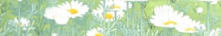 Ta Không Muốn Làm Đệ Nhất Chapter 231 - 70