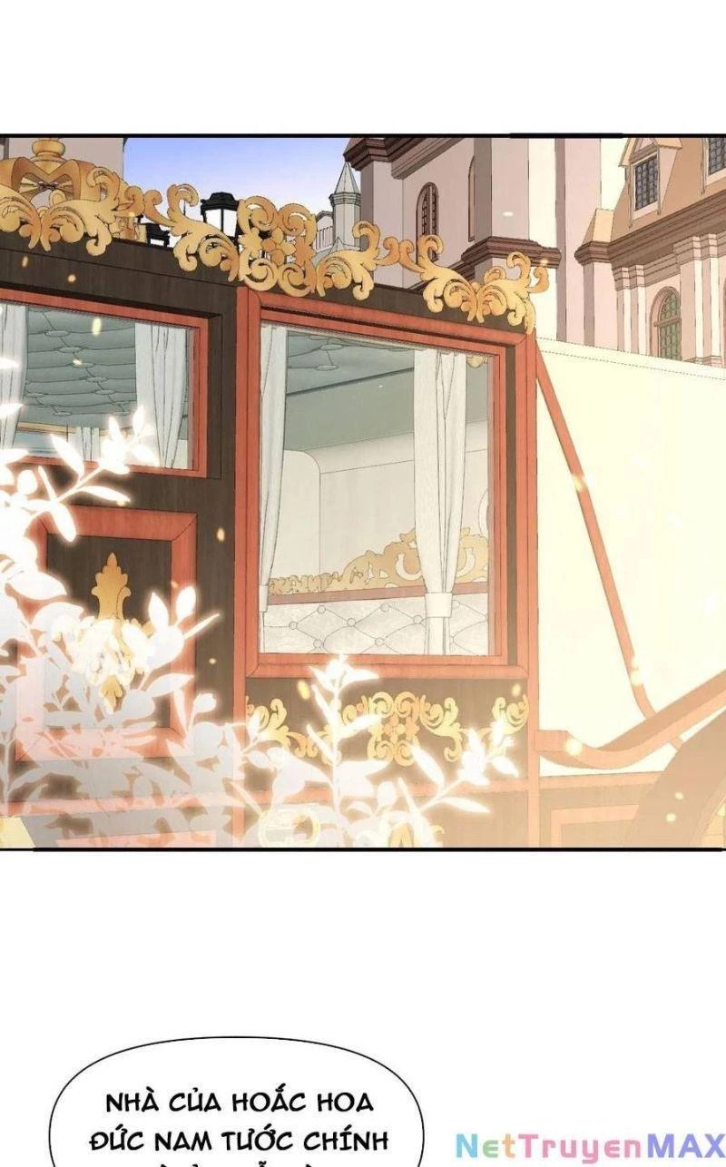Hồng Long Dũng Giả Không Phải Người Lương Thiện Chapter 20 - 62