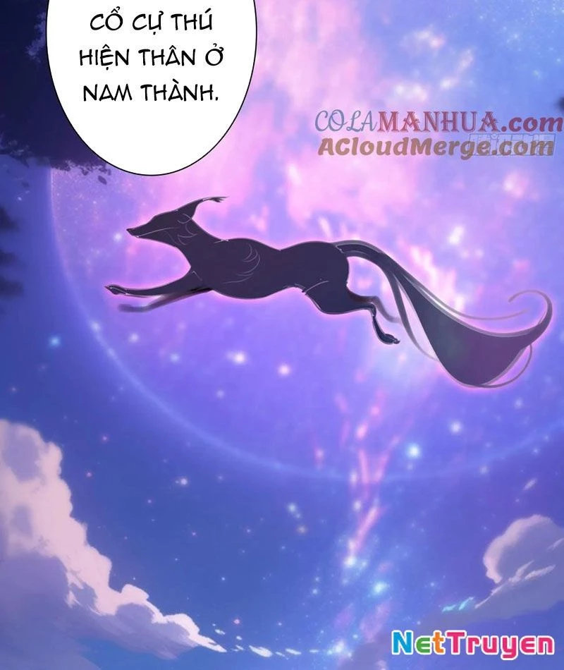Sinh Tiêu Thủ Hộ Thần Chapter 105 - 36