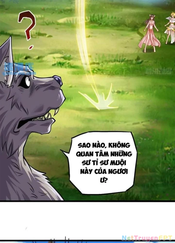 Bắt Đầu Đánh Dấu Bảy Vị Sư Tỷ Giúp Ta Bay Chapter 14 - 13