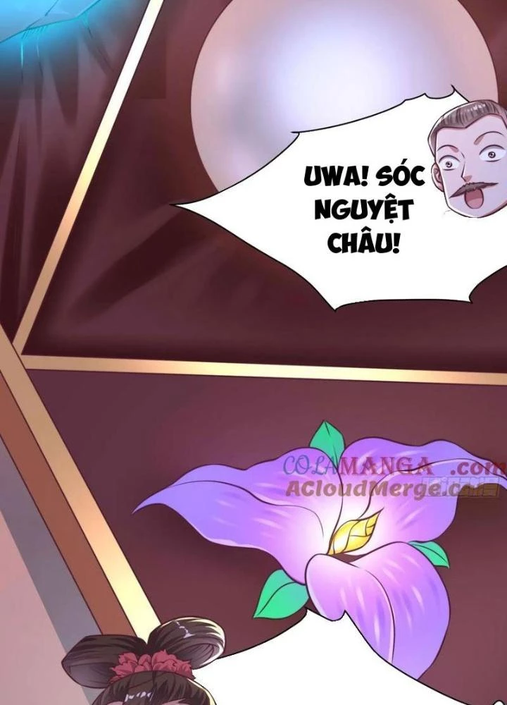 Bắt Đầu Đánh Dấu Bảy Vị Sư Tỷ Giúp Ta Bay Chapter 51 - 77