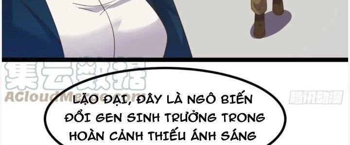 Trở Về Làm Đại Lão Thời Mạt Thế Chapter 302 - 23